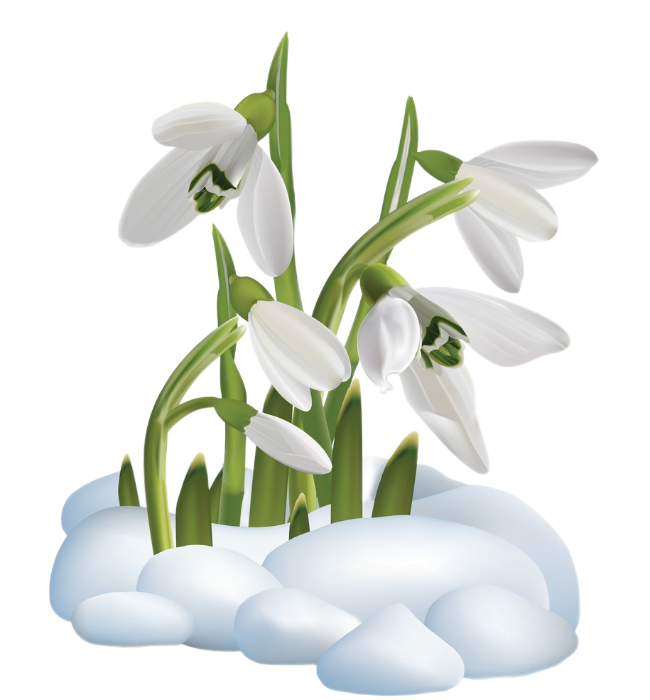 Патриотическое воспитание | МБДОУ "ЧЕРНЫШЕВСКИЙ ДЕТСКИЙ САД "ПОДСНЕЖНИК"