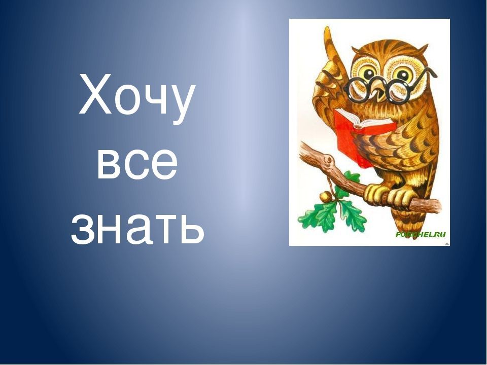 Мама хочу все знать. Хочу всё знать. Рисунок на тему хочу все знать. Хочу все знать для детей. Картинка хочу всё знать для детей.